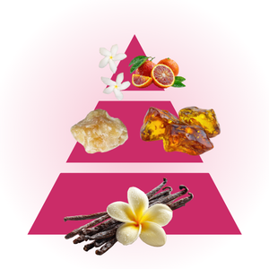 Pyramide olfactive du parfum Cosmic Intense de Kylie Cosmetics avec notes florales et ambrées